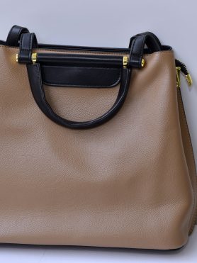 Beige and Black Handbag with Gold-tone Hardware